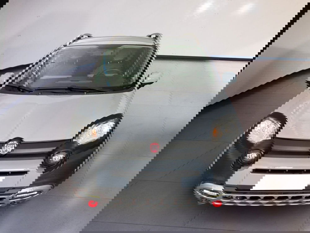 Fiat Panda Cross usata a Torino