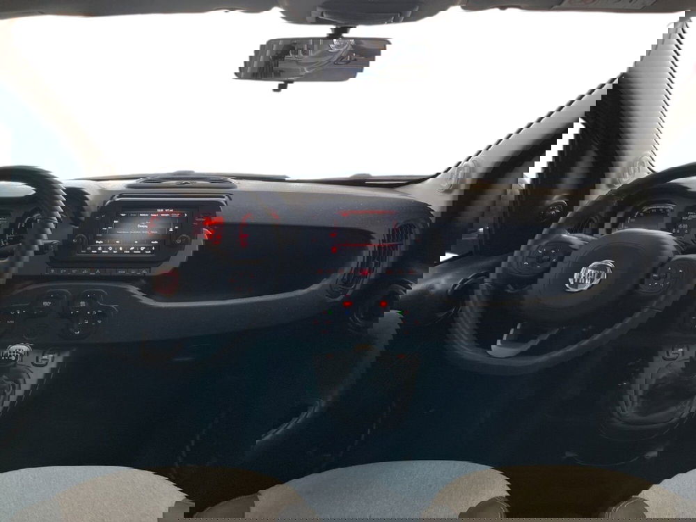 Fiat Panda Cross usata a Torino (11)