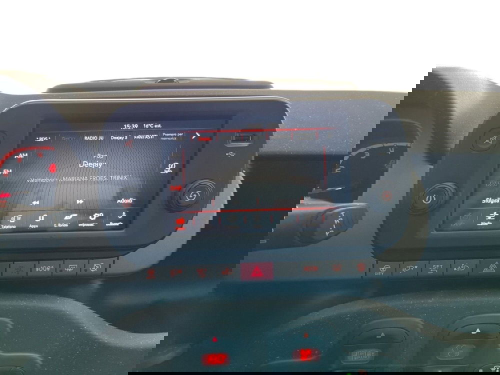 Fiat Panda Cross usata a Torino (13)