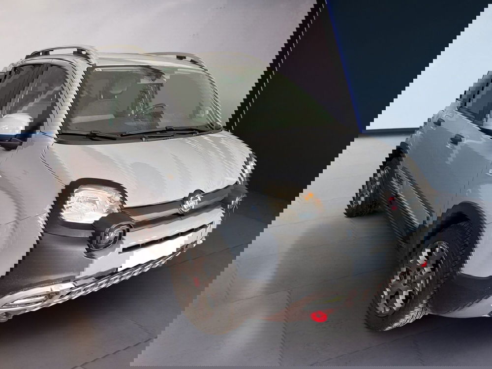 Fiat Panda Cross usata a Torino (3)