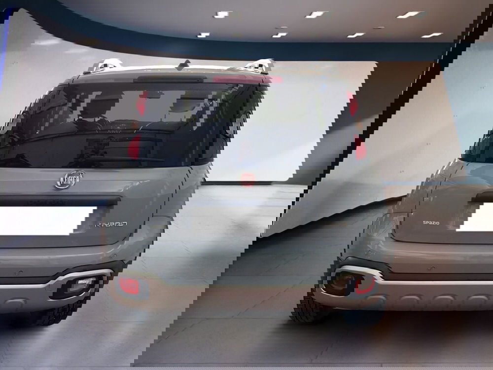 Fiat Panda Cross usata a Torino (5)