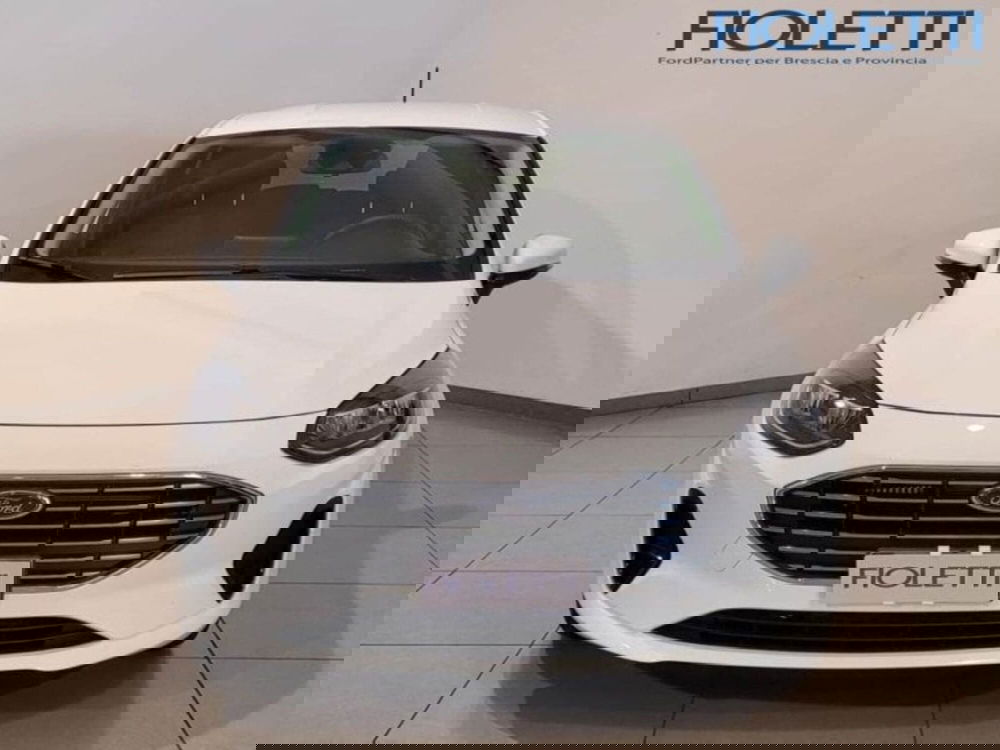 Ford Fiesta usata a Brescia (3)