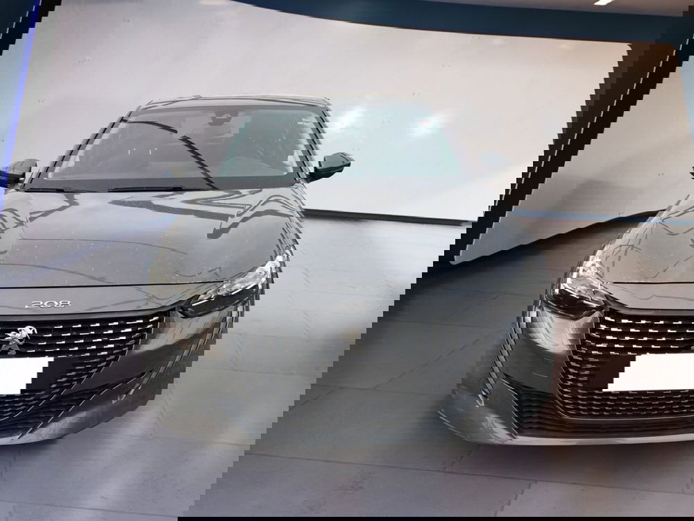 Peugeot 208 usata a Torino (15)