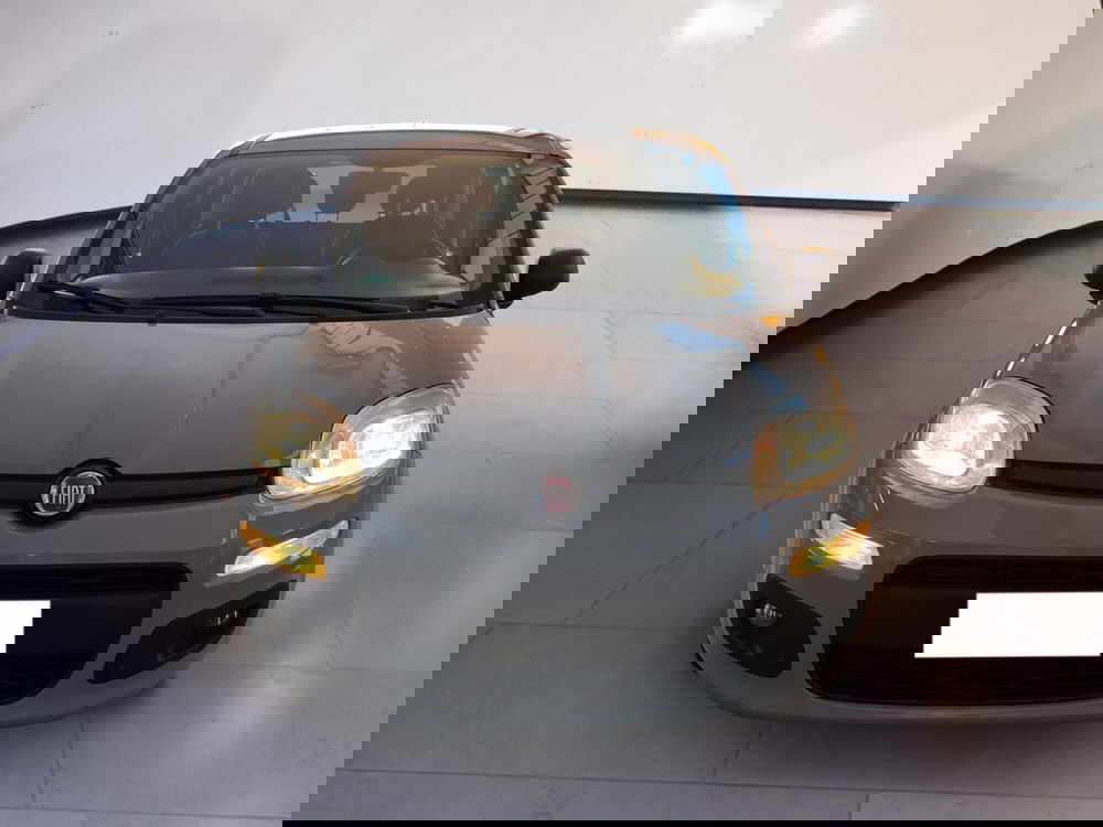 Fiat Panda usata a Torino