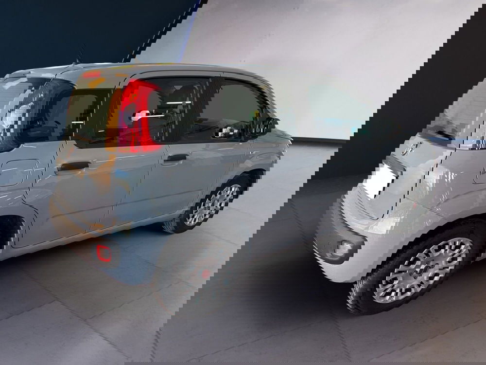 Fiat Panda usata a Torino (4)