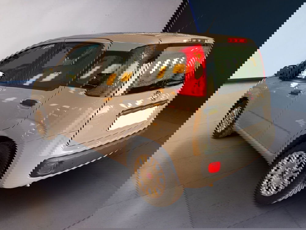 Fiat Panda usata a Torino (6)