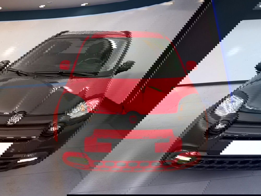 Fiat Panda Cross usata a Torino