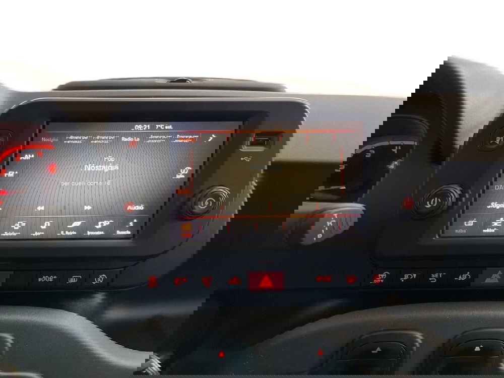 Fiat Panda Cross usata a Torino (13)