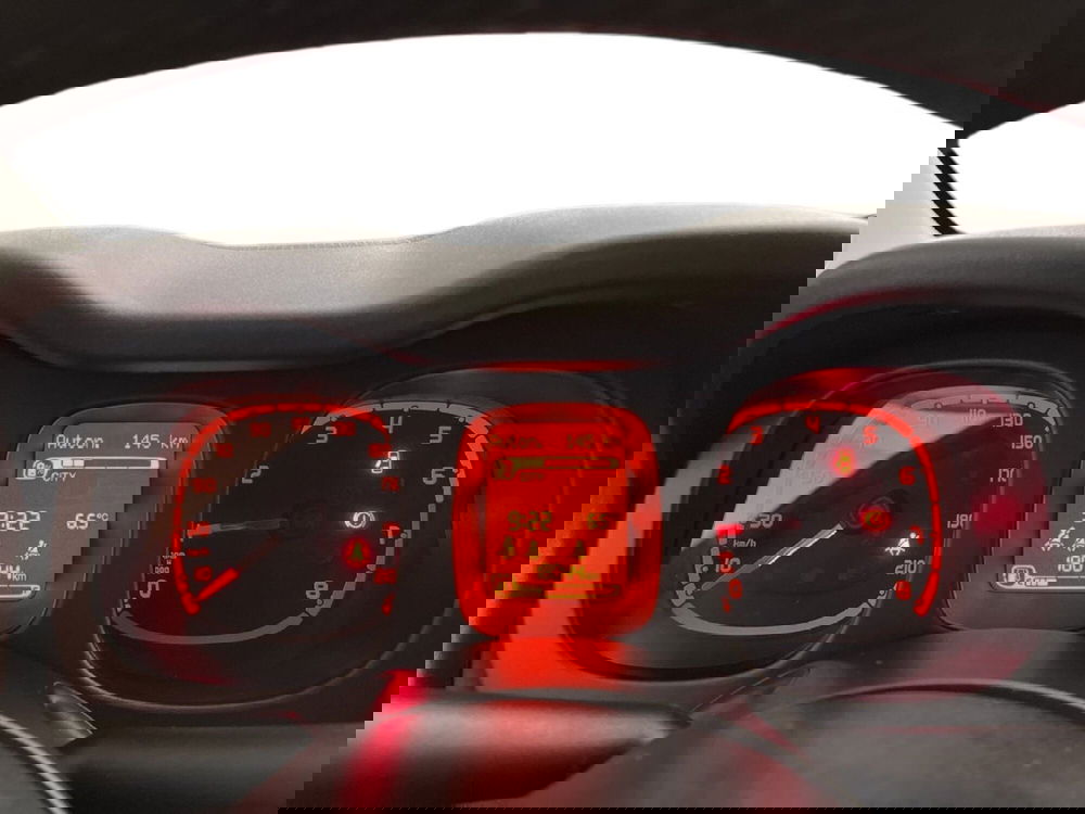 Fiat Panda Cross usata a Torino (15)