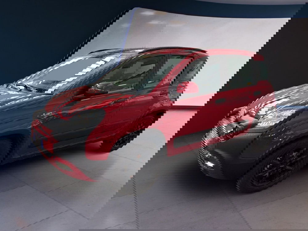 Fiat Panda Cross usata a Torino (2)