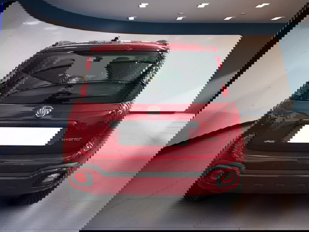 Fiat Panda Cross usata a Torino (5)