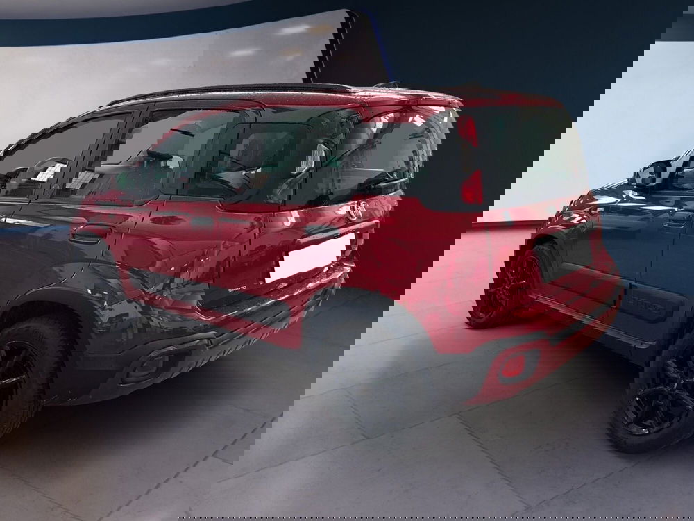 Fiat Panda Cross usata a Torino (6)