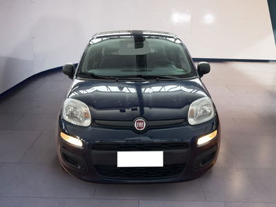 Fiat Panda 1.2 EasyPower Lounge del 2020 usata a Torino
