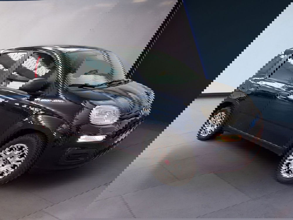 Fiat Panda usata a Torino (3)