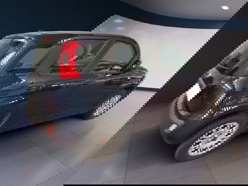 Fiat Panda usata a Torino (4)