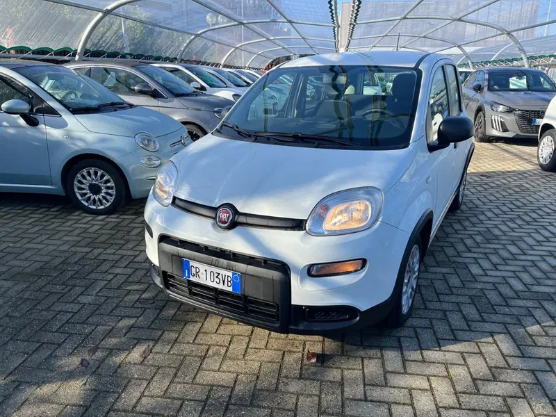 Fiat Panda Cross usata a Milano