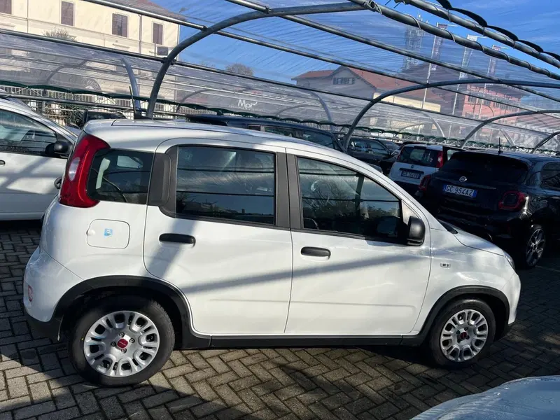 Fiat Panda Cross usata a Milano (6)