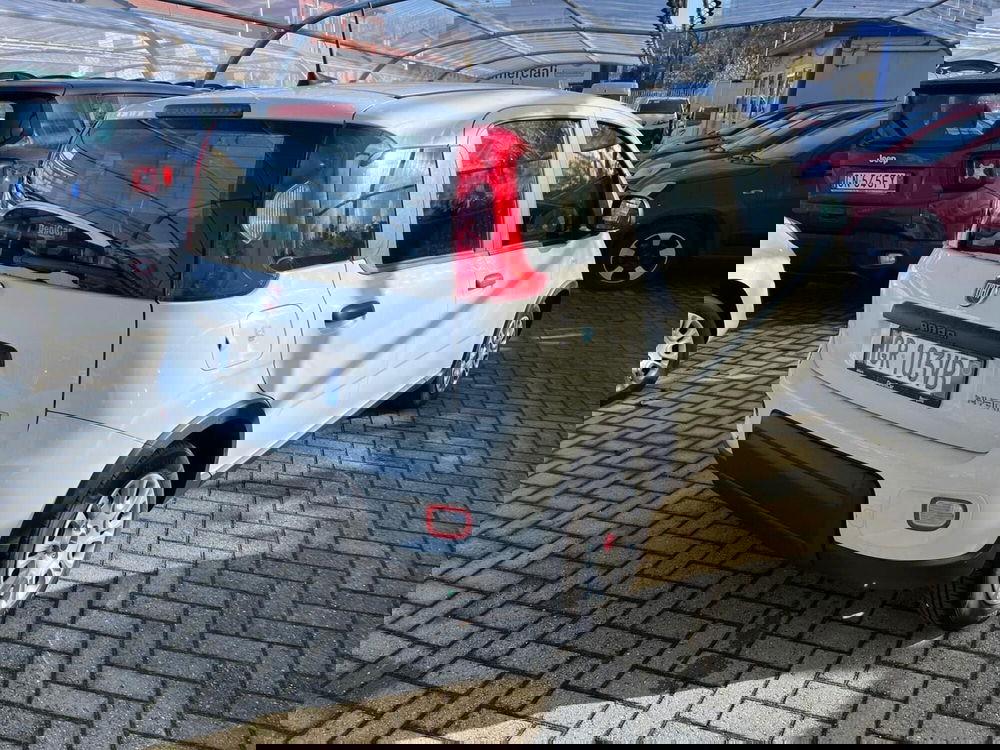 Fiat Panda Cross usata a Milano (7)