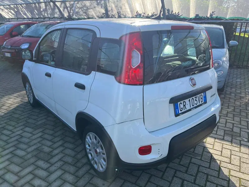 Fiat Panda Cross usata a Milano (9)