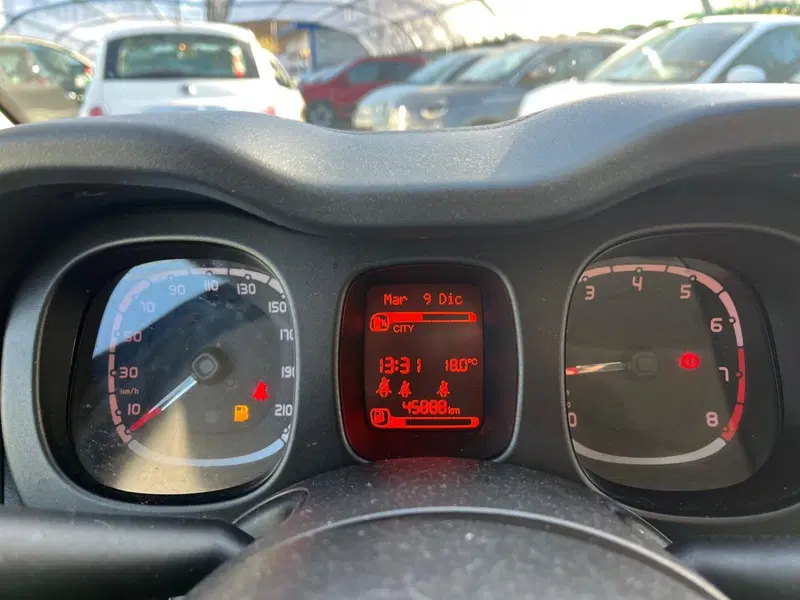 Fiat Panda Cross usata a Milano (20)