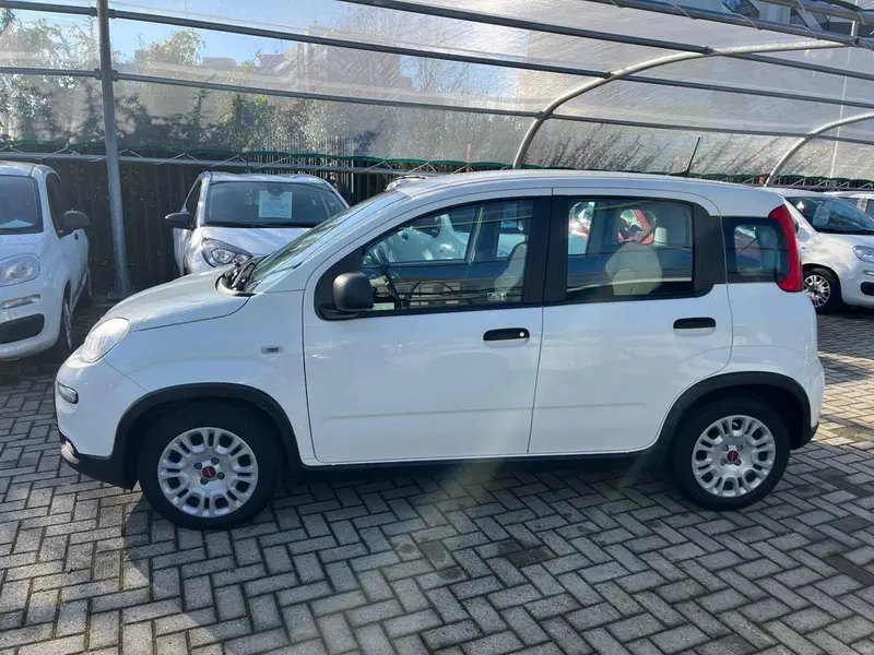Fiat Panda Cross usata a Milano (4)