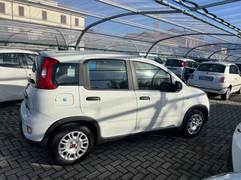 Fiat Panda Cross usata a Milano (6)