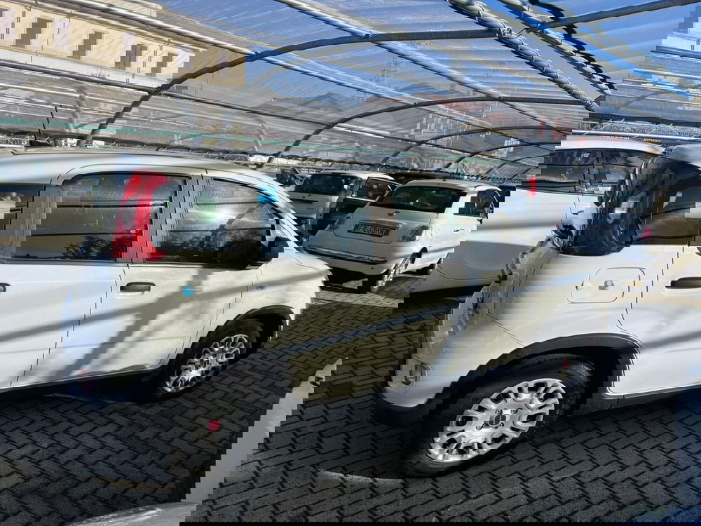 Fiat Panda Cross usata a Milano (6)