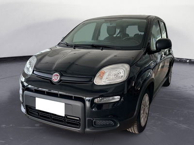 Fiat Panda Cross Cross 1.0 FireFly S&amp;S Hybrid del 2023 usata a Gazzaniga