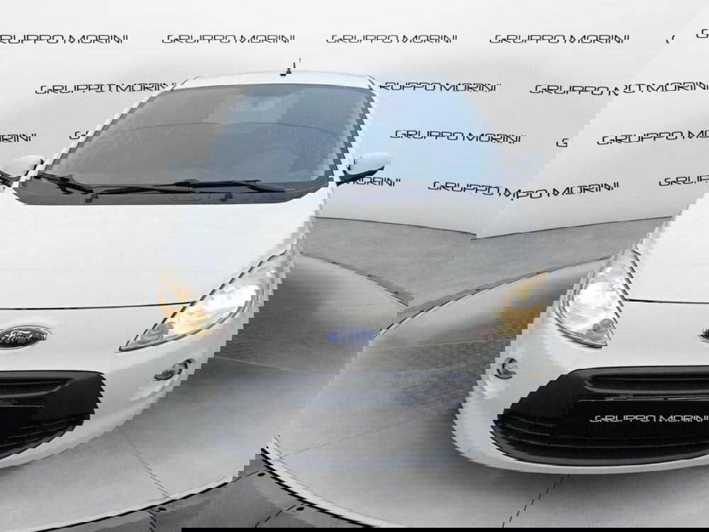 Ford Ka usata a Bologna (2)