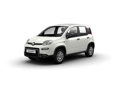 Fiat Pandina 1.0 firefly hybrid Pop s&amp;s 65cv nuova a Tavarnelle Val di Pesa