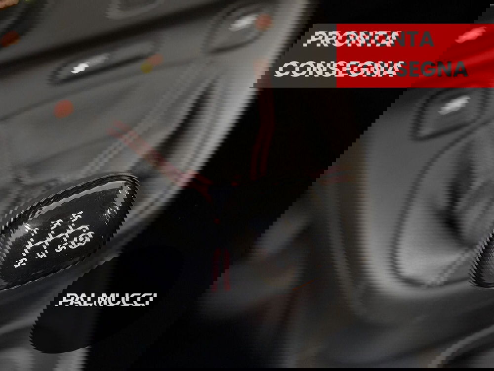 Fiat Panda Cross usata a Prato (13)