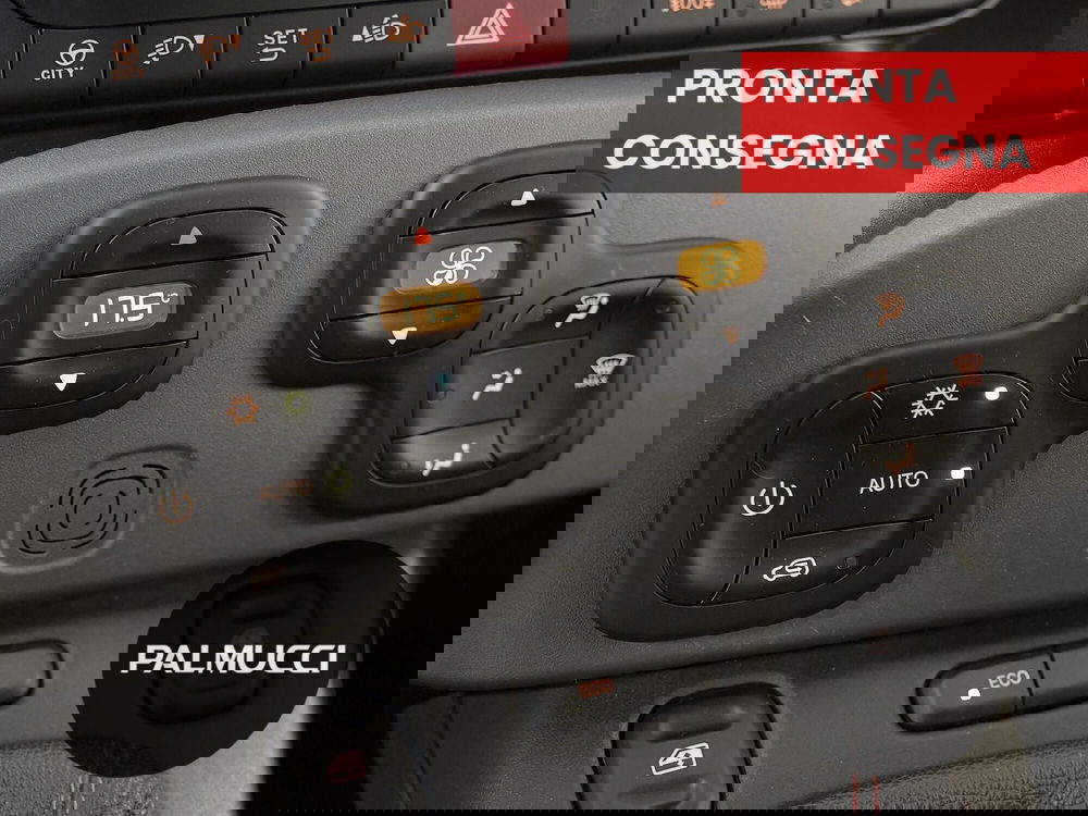 Fiat Panda Cross usata a Prato (18)