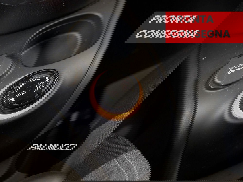 Fiat Panda Cross usata a Prato (8)