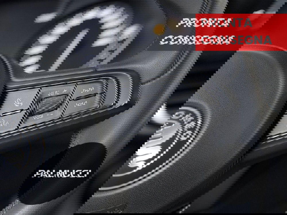 Alfa Romeo Stelvio usata a Prato (12)