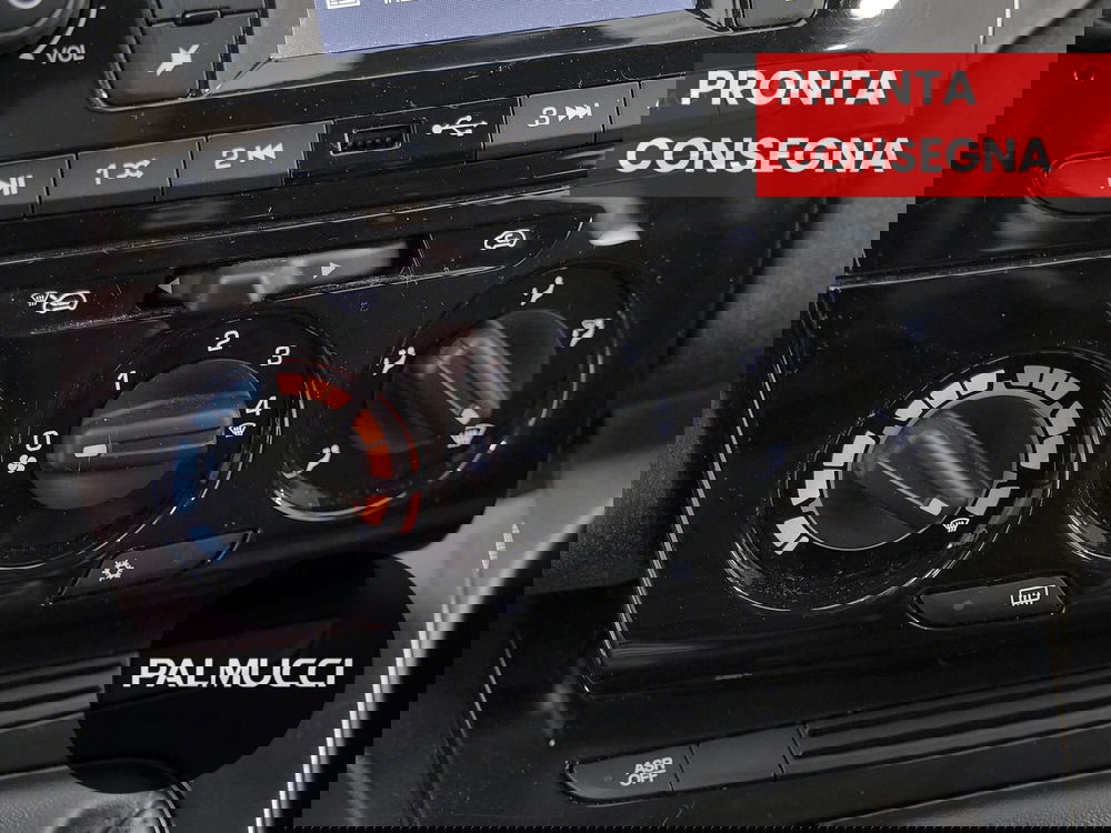 Lancia Ypsilon usata a Prato (15)