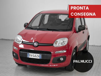 Fiat Panda 1.2 Easy del 2017 usata a Prato