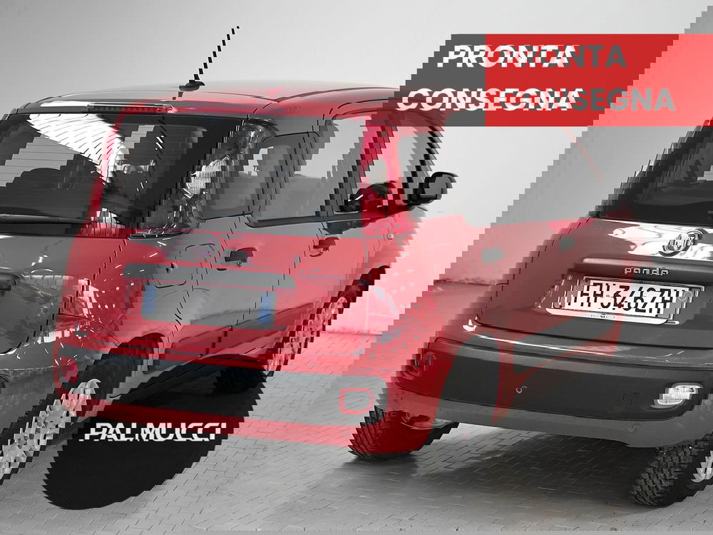 Fiat Panda usata a Prato (3)