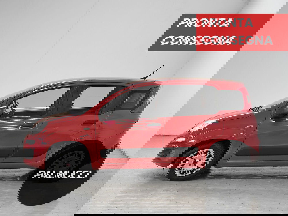 Fiat Panda usata a Prato (4)