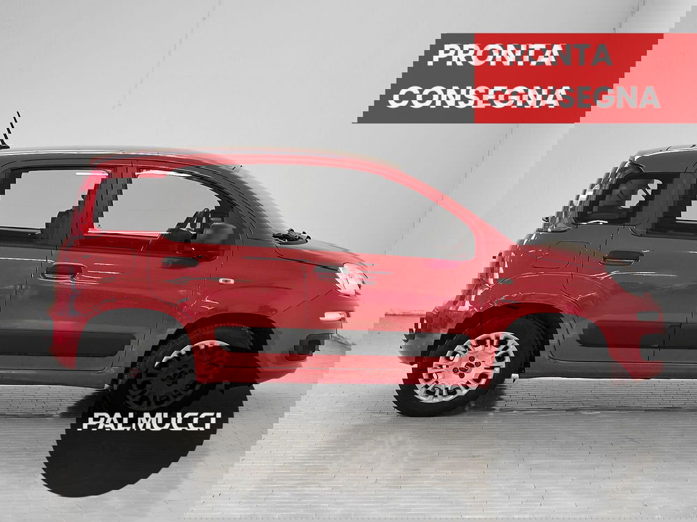 Fiat Panda usata a Prato (5)