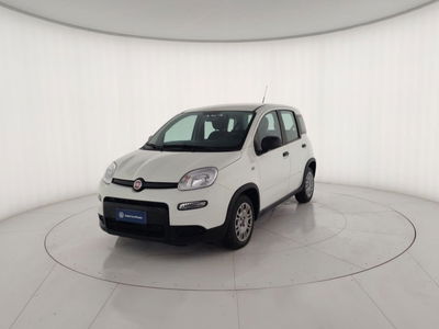 Fiat Panda Cross Cross 1.0 FireFly S&amp;S Hybrid del 2024 usata a Massa