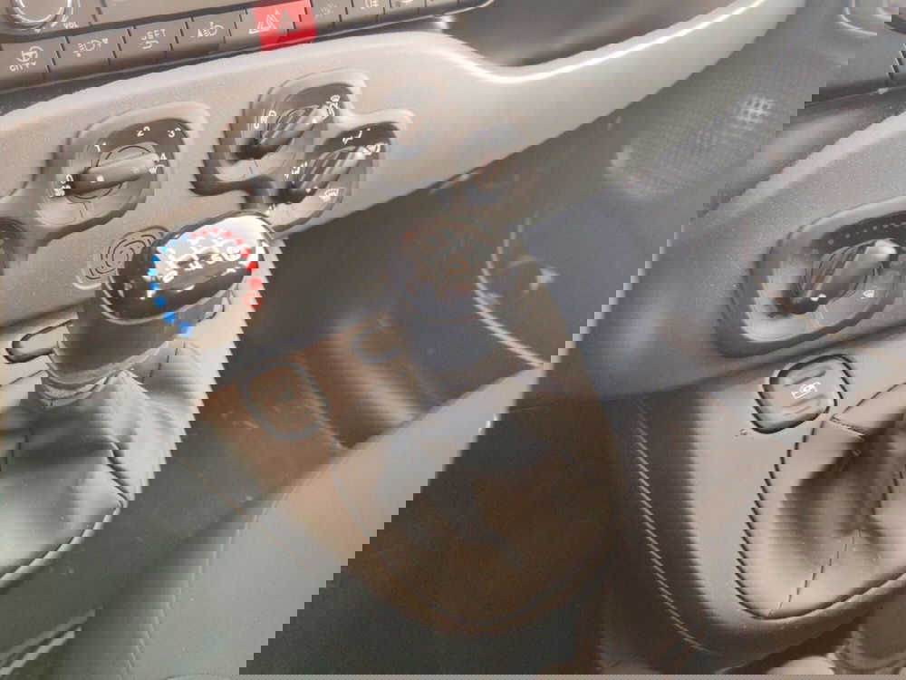 Fiat Panda Cross usata a Massa-Carrara (11)