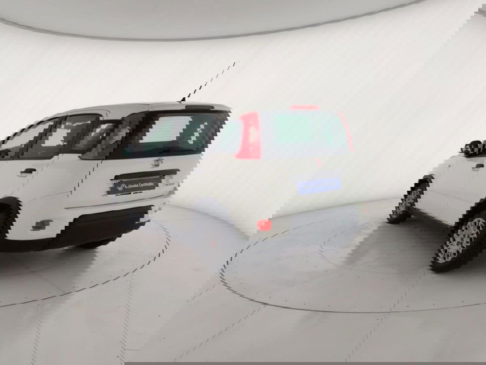 Fiat Panda Cross usata a Massa-Carrara (2)