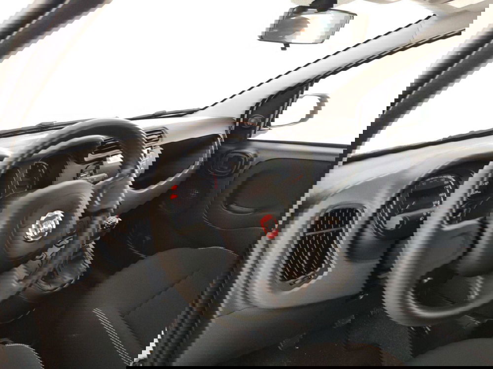 Fiat Panda Cross usata a Massa-Carrara (8)