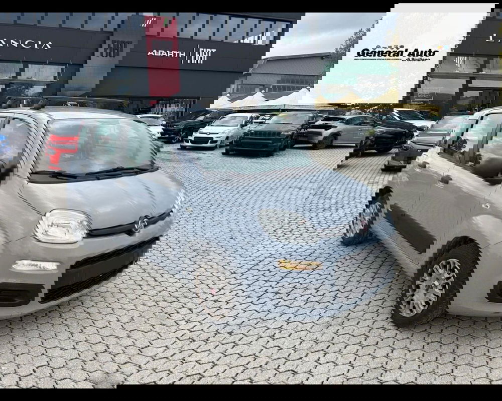 Fiat Panda usata a Lucca