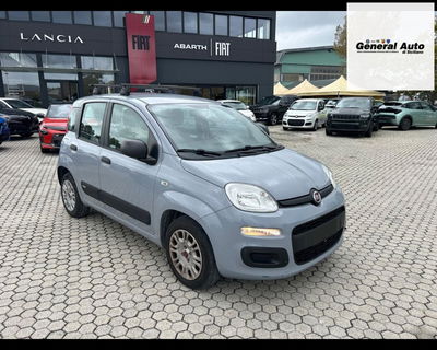 Fiat Panda 1.2 Lounge del 2018 usata a Massarosa