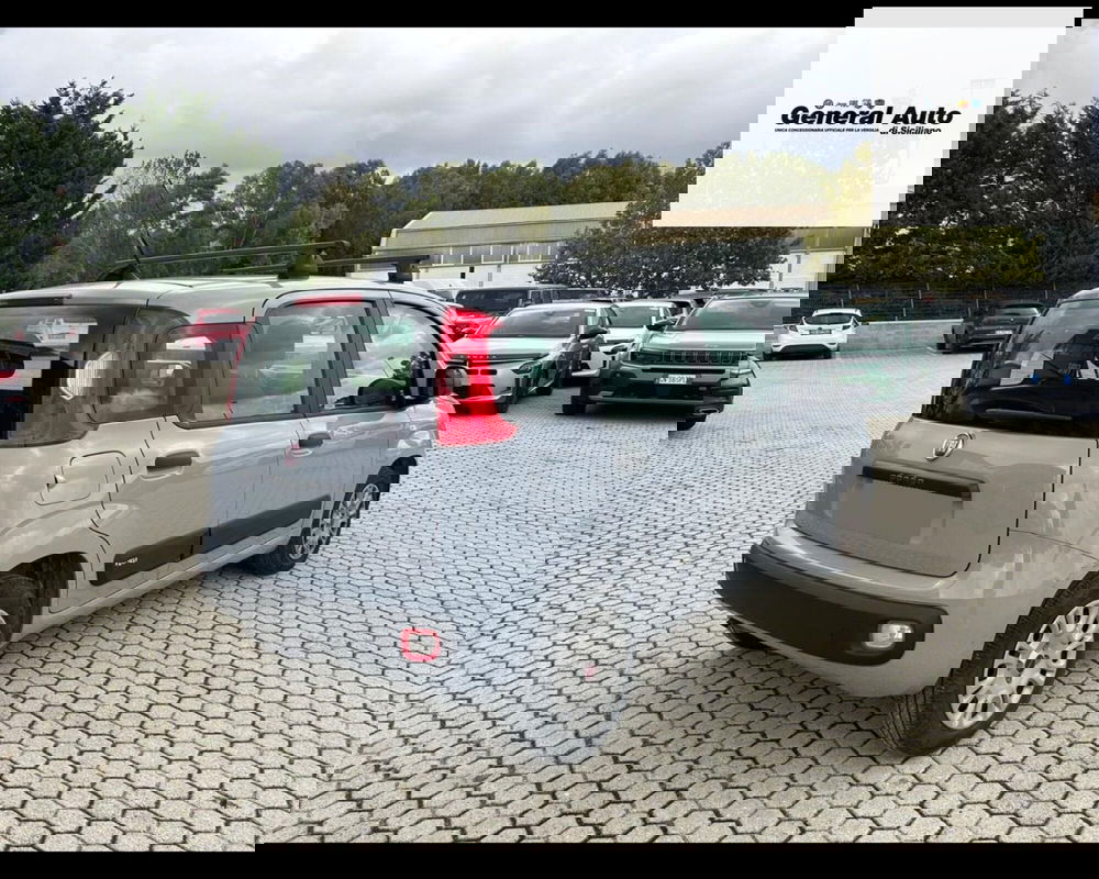 Fiat Panda usata a Lucca (8)