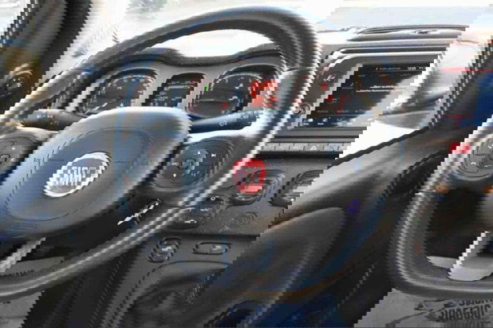 Fiat Panda Cross usata a Torino (16)