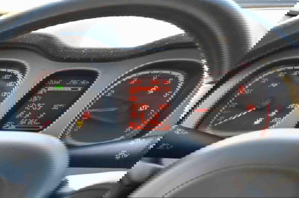 Fiat Panda Cross usata a Torino (17)