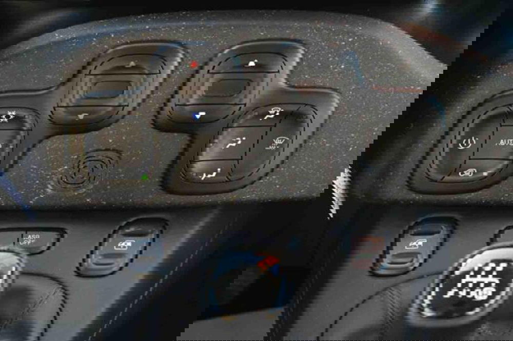 Fiat Panda Cross usata a Torino (19)