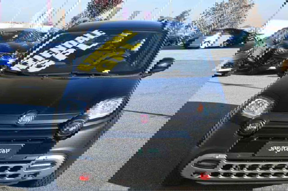 Fiat Panda Cross usata a Torino (2)